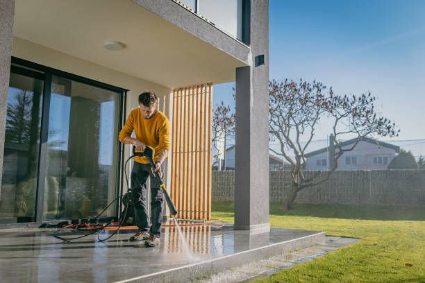Best Dumpster Area Cleaning  in Mead, CO