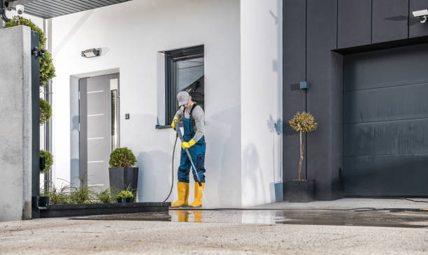 Best Warehouse Cleaning  in Mead, CO
